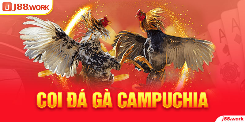 Coi đá gà Campuchia và cách cược ăn tiền đỉnh cao