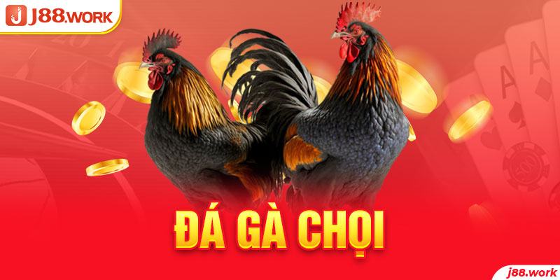 Đá gà chọi và các thức tham gia chơi đá gà đúng luật