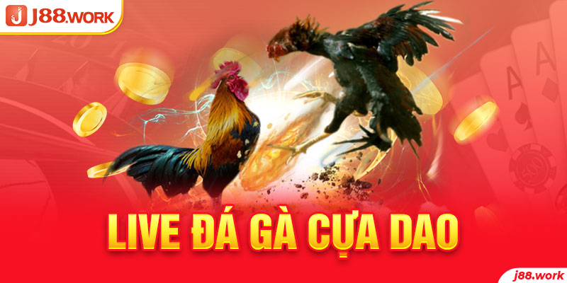 Live đá gà cựa dao và các điểm nổi bật làm nên tên tuổi